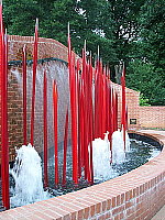 Click to see Y100_0250.JPG