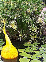 Click to see Y100_0262.JPG