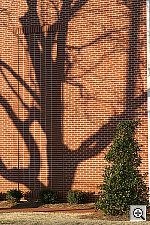 Click to see YIMG_0189.HTM