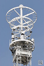 Click to see YIMG_9051_IS0_0800.JPG