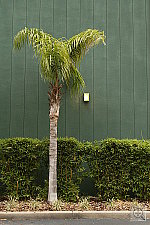 Click to see YIMG_0108.JPG