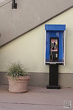 Click to see YIMG_0320.JPG