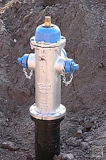 Click to see YIMG_0335.JPG