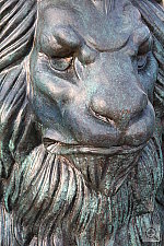 Click to see YIMG_0344.JPG