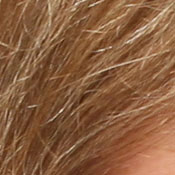 Sony DSC-T33 digital camera image