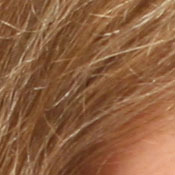 Sony DSC-T33 digital camera image