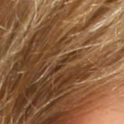 Sony DSC-T33 digital camera image