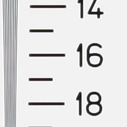 Sony DSC-T33 digital camera image