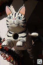 Click to see YIMG_6557.JPG