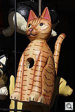 Click to see YIMG_6559.JPG