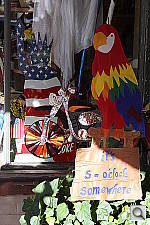Click to see YIMG_6565.JPG