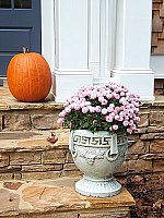 Click to see YDSCF0100.JPG