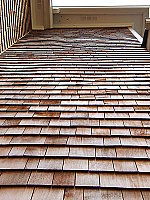 Click to see YDSCF0102.JPG