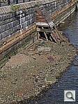 Click to see YPA080656.JPG