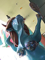 Click to see YDSCF0535.JPG