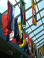 Click to see YDSCF0550.JPG