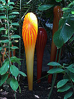 Click to see YDSCF0557.JPG