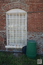 Click to see YIMG_6582.JPG