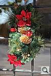 Click to see YIMG_7649.JPG