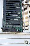 Click to see YIMG_7716.JPG