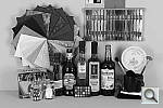 Click to see E60DhSLCOL_BNW.JPG