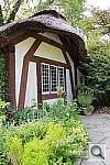 Click to see YIMG_9976.JPG