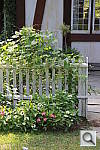 Click to see YIMG_9977.JPG
