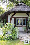 Click to see YIMG_9979.JPG