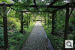 Click to see YIMG_9996.JPG
