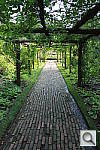 Click to see YIMG_9997.JPG