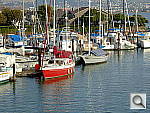 Click to see YDSCF0656.JPG