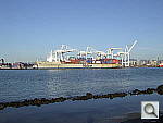 Click to see YDSCF0707.JPG