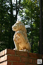 Click to see YIMG_0701u.JPG