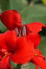 Click to see Y3EBS9913.JPG