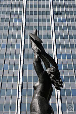 Click to see Y056.JPG