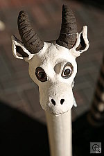 Click to see Y081.JPG