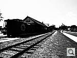 Click to see YP6300892.JPG