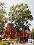 Click to see YP6301015.JPG