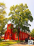 Click to see YP6301016.JPG