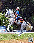 Click to see YP7041773A.JPG