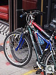 Click to see YP3240111.JPG