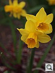 Click to see YP3240177.JPG
