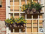 Click to see YSAB80135.JPG