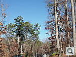 Click to see EPL3PINE.JPG