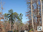 Click to see EPL3PINE_ACRu300r03.JPG