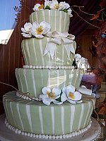 Click to see Y100_0077.JPG