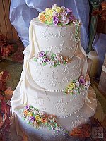 Click to see Y100_0079.JPG