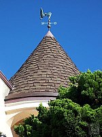 Click to see Y100_0093.JPG