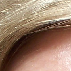 Kodak EasyShare-One digital camera image