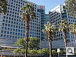 Click to see YCIMG0642.JPG